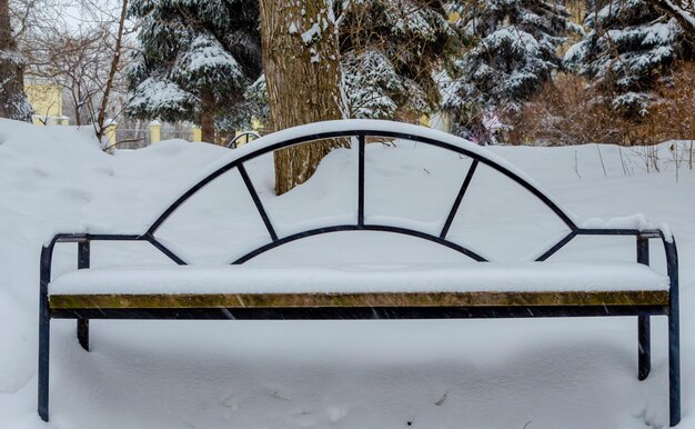 Un banc dans la neige dans le parc en hiver.