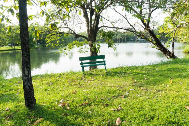 Photo un banc dans le parc au bord du lac.