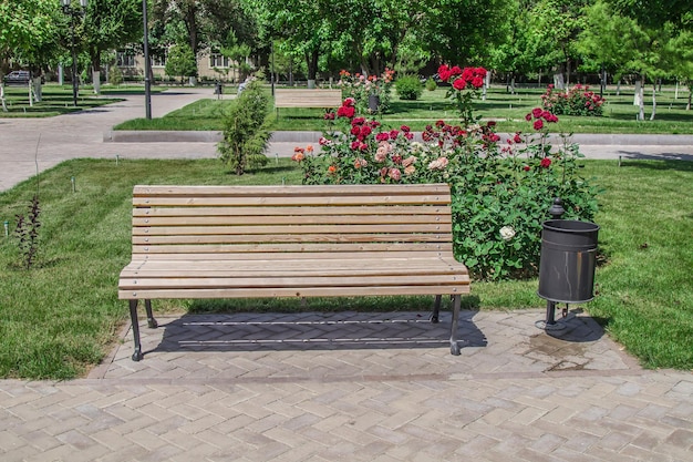 Banc dans le parc au printempsPaysage