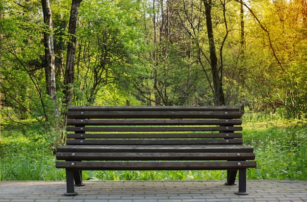 Banc dans le parc du printemps