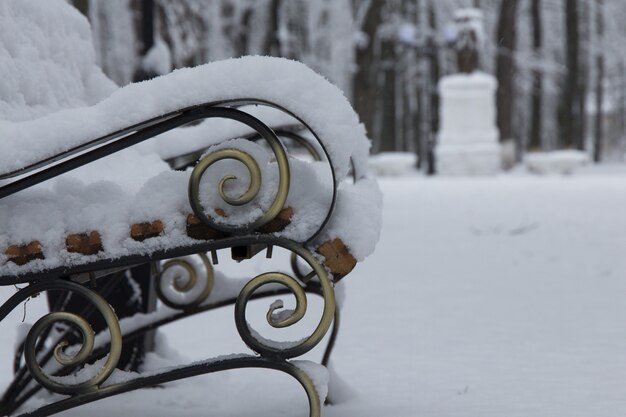 banc dans le parc d'hiver