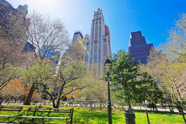 Banc dans le parc de l'hôtel de ville de Lower Manhattan, New York, États-Unis. Gratte-ciel en arrière-plan. Avec du soleil et du soleil. Touristes en arrière-plan. Avec éclat de soleil