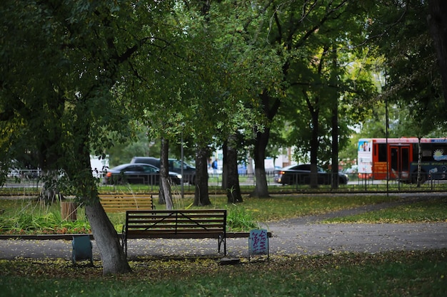 Banc dans un parc un matin d'automne ensoleillé Promenade matinale