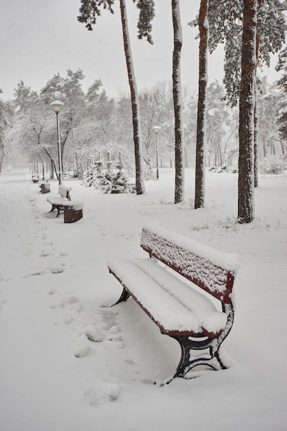 Banc dans le parc sous la neige