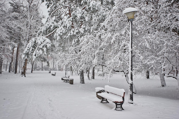 Banc dans le parc sous la neige