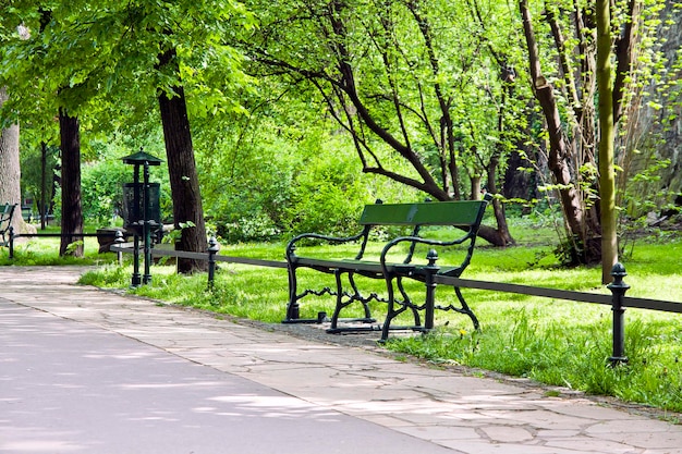 Banc dans un parc verdoyant