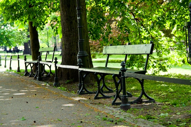 Banc dans un parc verdoyant