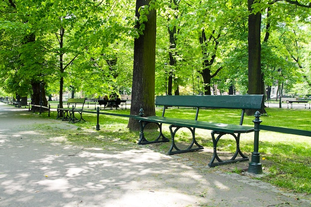 Banc dans un parc verdoyant