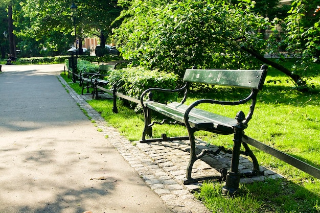 Banc dans un parc verdoyant