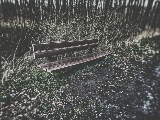 Photo un banc dans le parc.