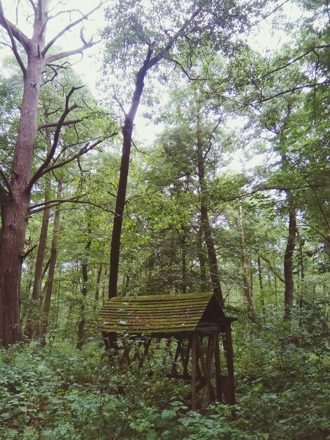 Un banc dans le parc.