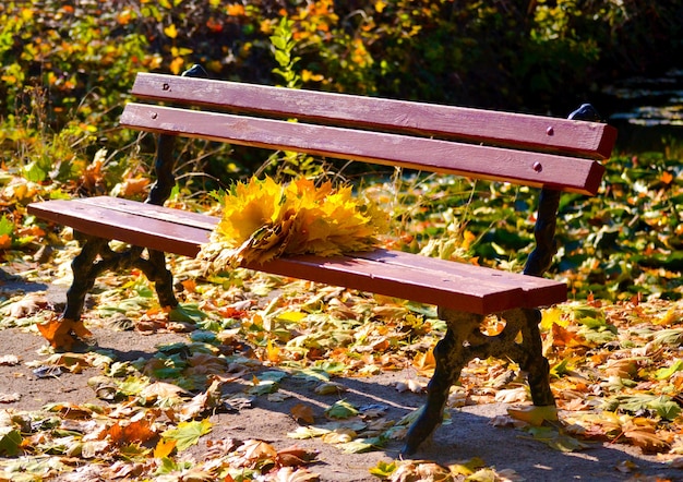 Banc dans le parc