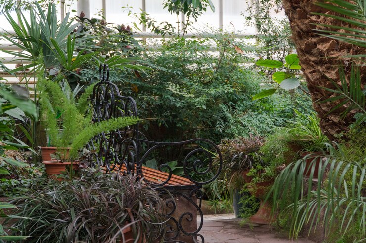 Photo banc dans la serre botanique. orangerie décorative tropicale