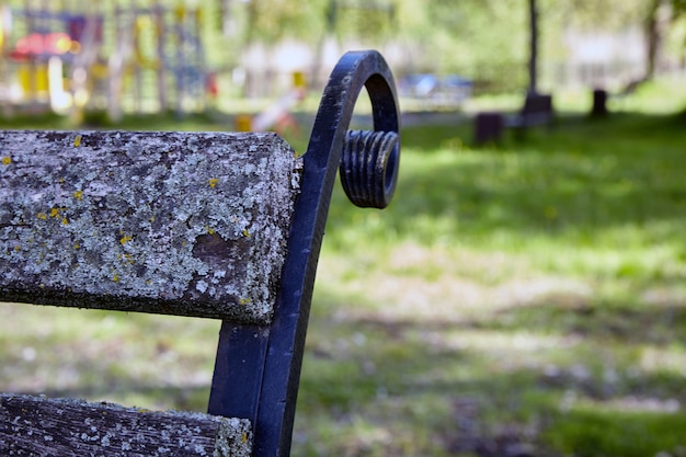 Le banc du parc est recouvert de lichen et de mousse.