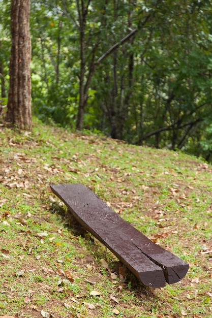 banc est fait de bois.