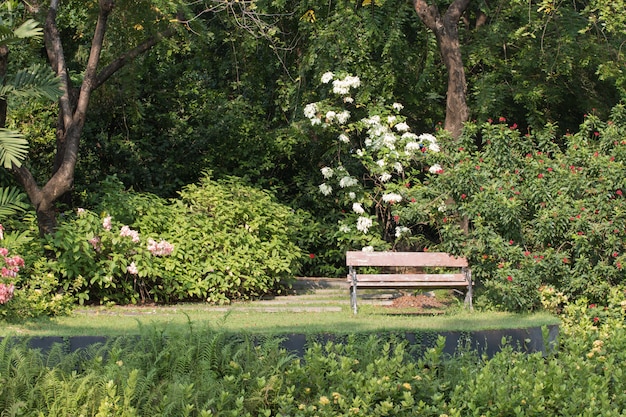 Banc avec des fleurs et des arbres dans le parc.