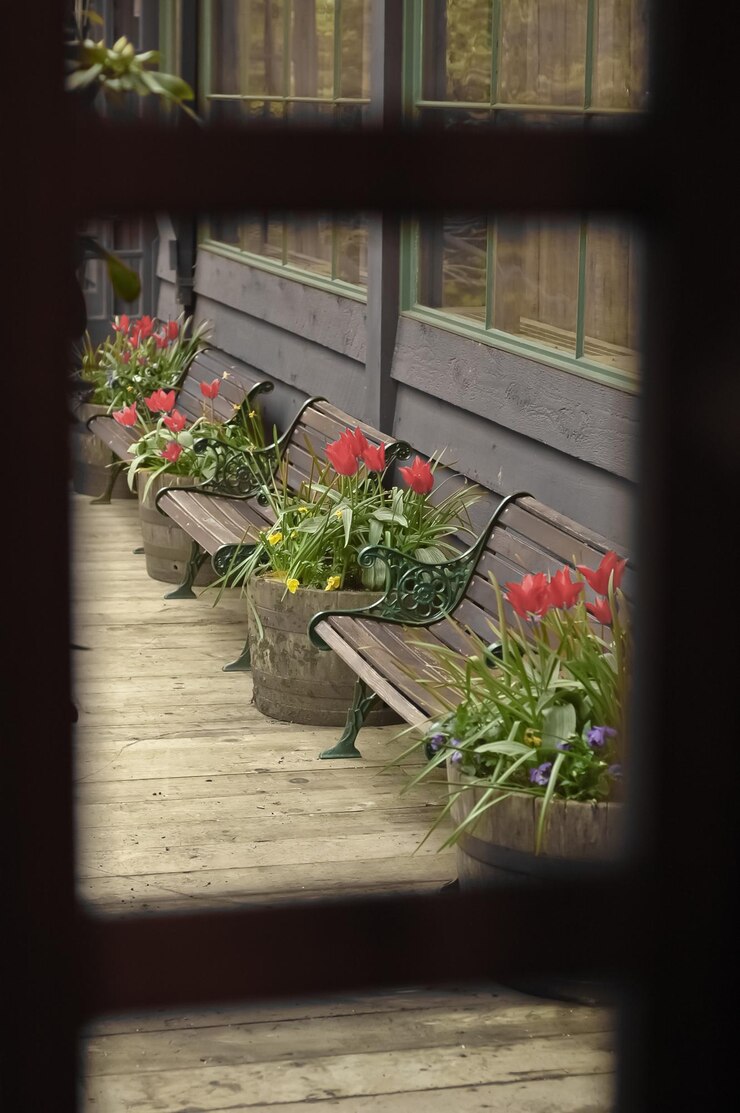 Photo banc et fleurs de châssis de fenêtre en bois