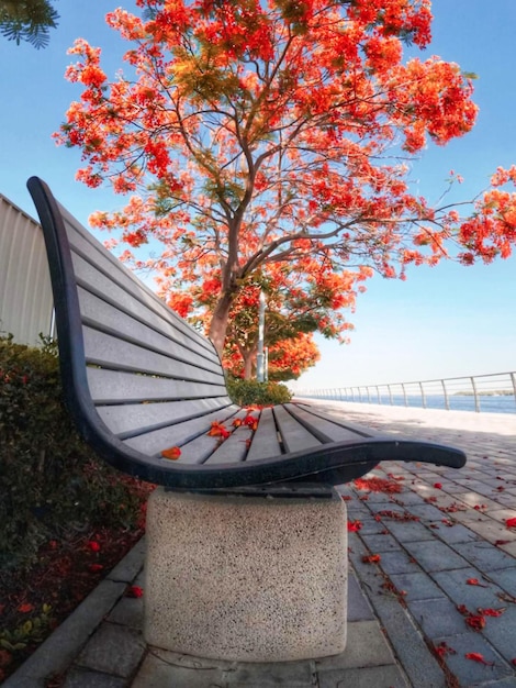 Un banc avec des fleurs oranges sur le côté