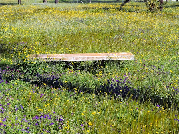 Banc de jardin en pierre