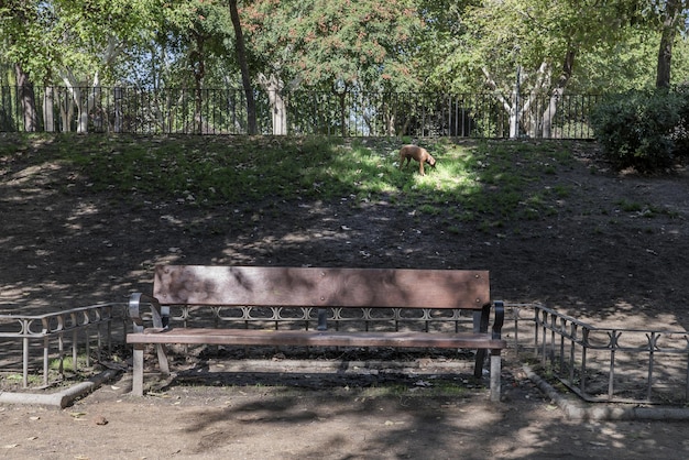 Un banc noir en bois et métal à l'intérieur d'un parc urbain