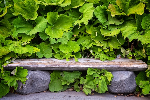 Banc original fait de grosses pierres et d'une planche de bois