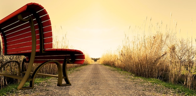 Banc de parc sur le chemin