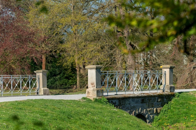 Banc de parc sur le terrain