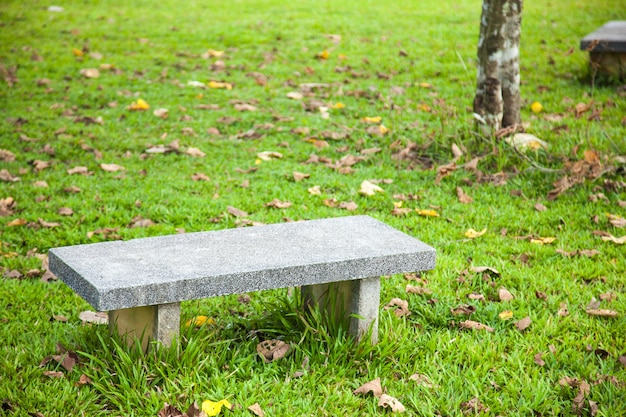 Banc sur la pelouse.