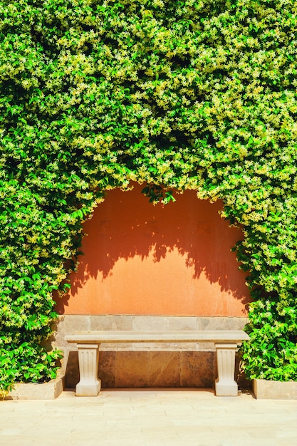 Banc en pierre sous les plantes vertes décoratives dans le parc. Fond de nature d'été
