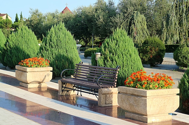 Banc en pierre vintage vide dans un jardin ensoleillé