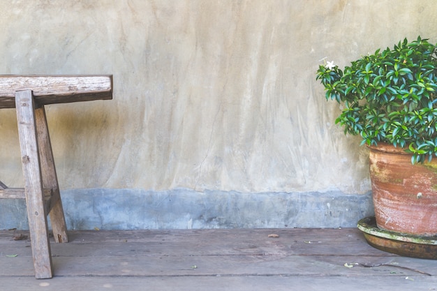 banc avec plante décorative sur fond de mur en béton