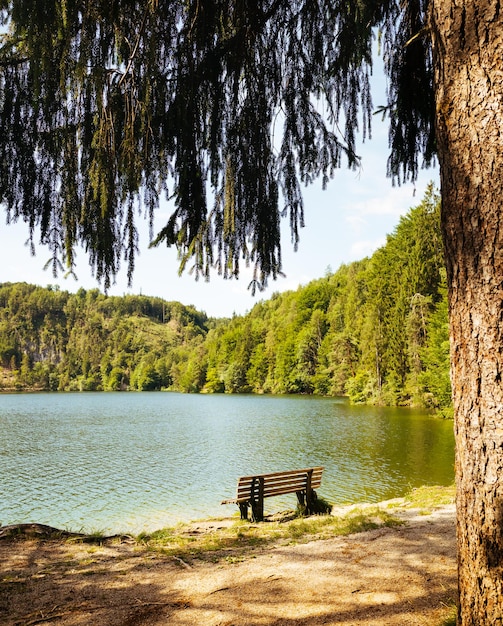 Banc près du pittoresque lac de montagne dans les Alpes