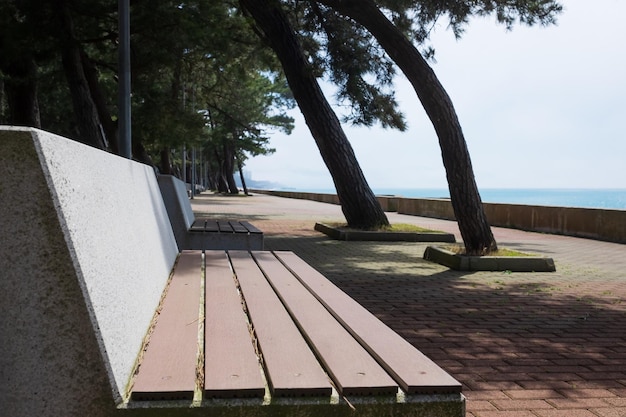 Banc sur le remblai à travers la mer en Géorgie