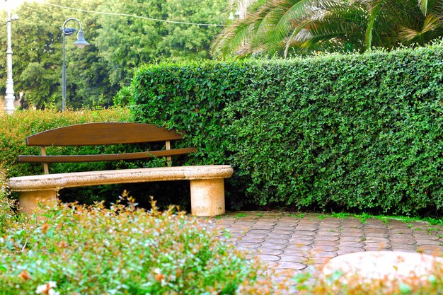 Banc seul dans le parc au début du printemps