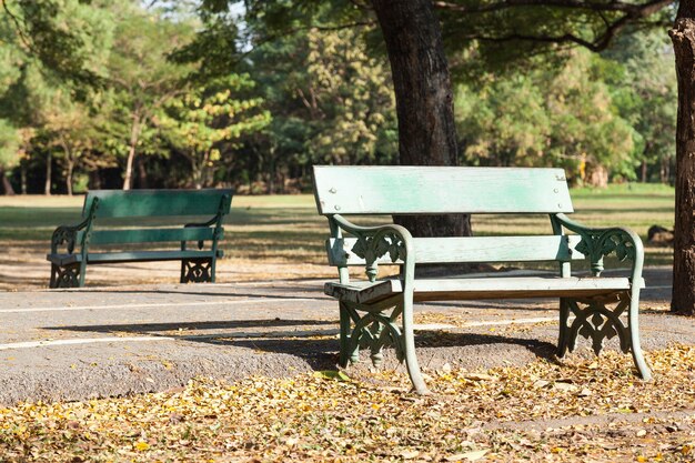 Banc situé par allée