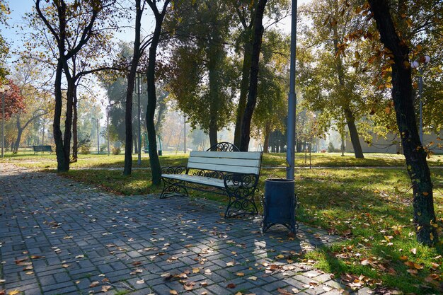 Banc solitaire dans le parc d'automne