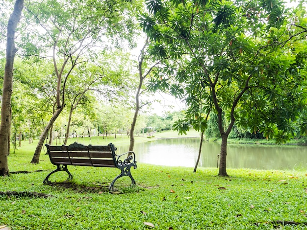 Banc solitaire dans le parc avec vue sur l&#39;eau