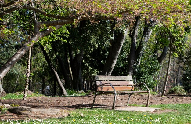 banc solitaire dans le parc