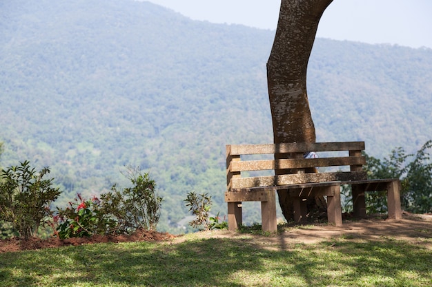 Banc sous l&#39;arbre