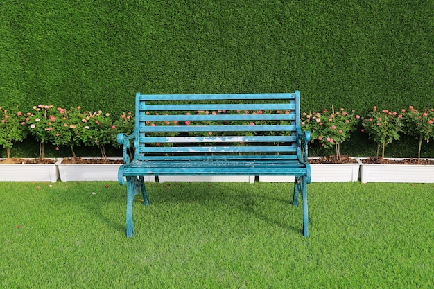 Banc vert avec le buisson