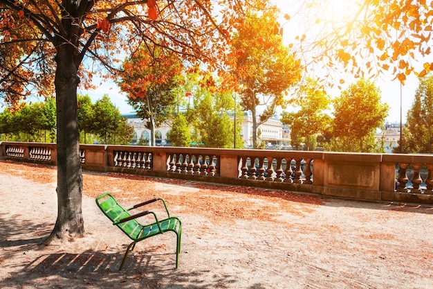 Photo banc vert sous l'arbre dans le jardin des tuileries à paris, france. paysage d'automne