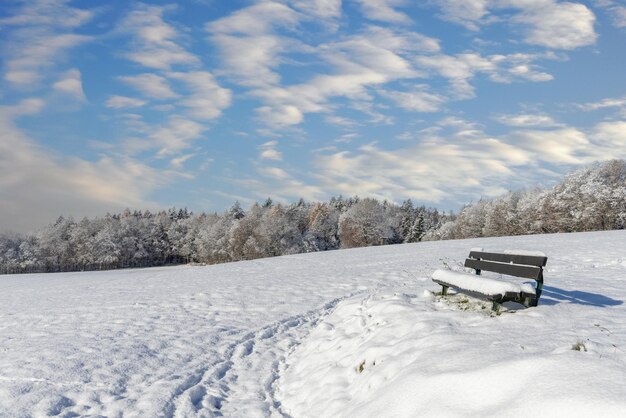 Banc vide couvert de neige dans un champ par une belle journée ensoleillée d'hiver