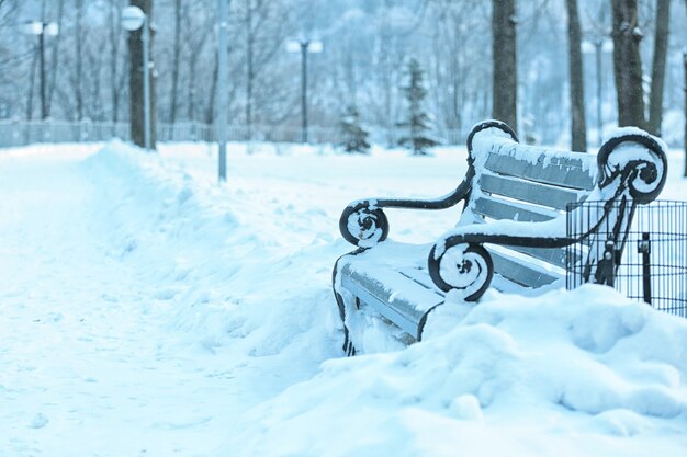 Banc vide couvert de neige en parc d'hiver