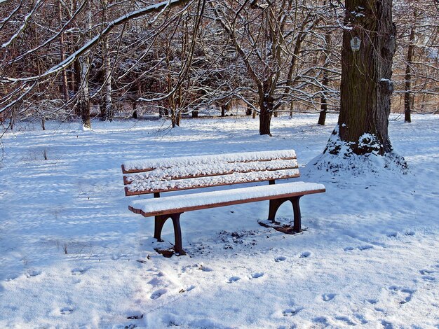 Photo un banc vide dans le parc en hiver