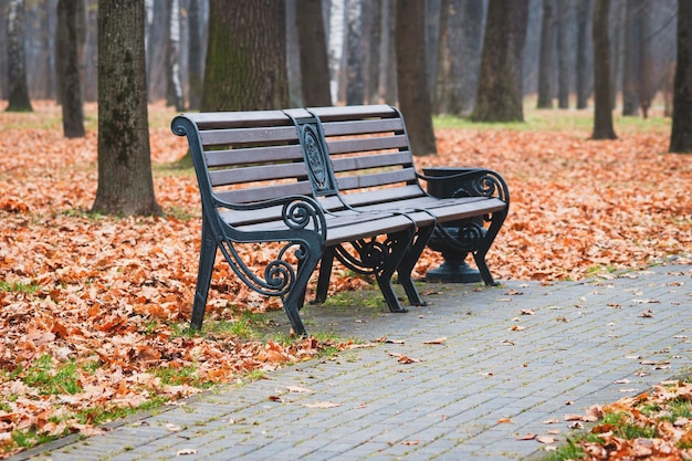 Banc vide dans le parc de la ville d'automne sombre paysage du matin d'automne