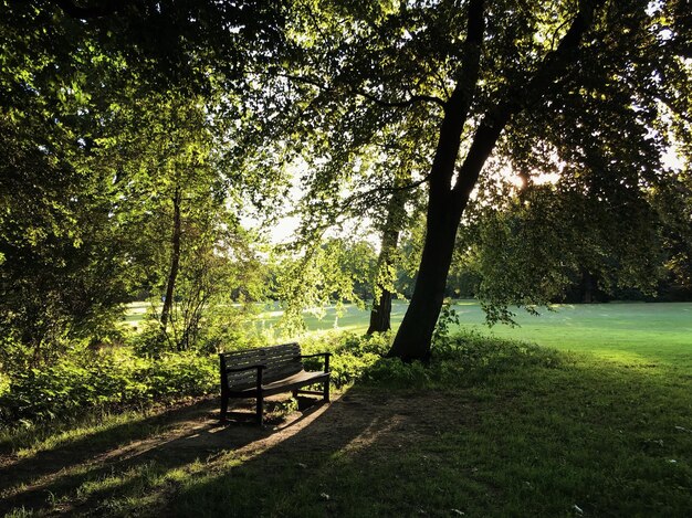 Photo un banc vide dans le parc.