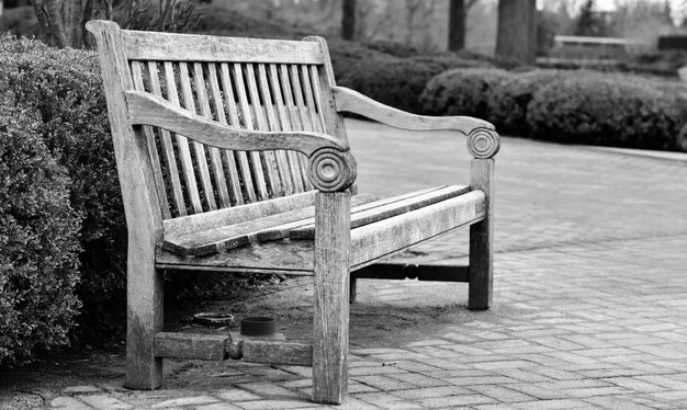 Banc vide dans le parc