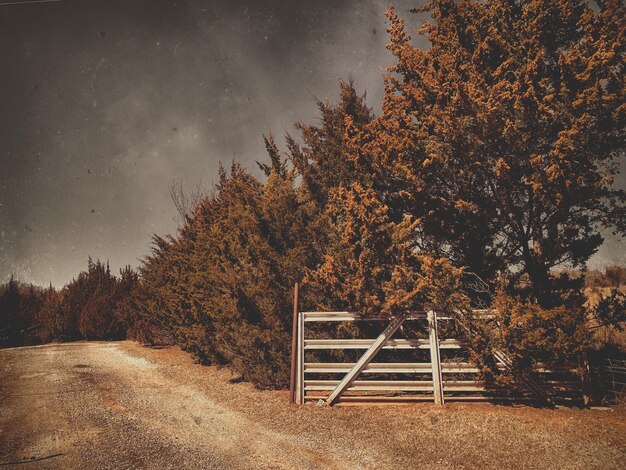 Photo banc vide sur le terrain contre le ciel en automne