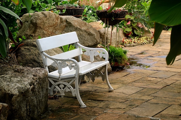 Photo banc vintage vide blanc dans un jardin tropical