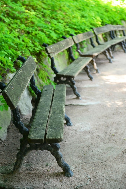 Bancs en bois au parc